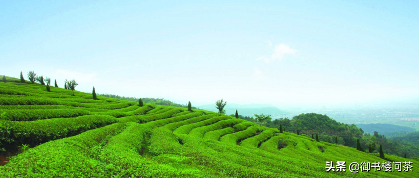 径山茶的功能和功效与作用，径山茶的历史渊源