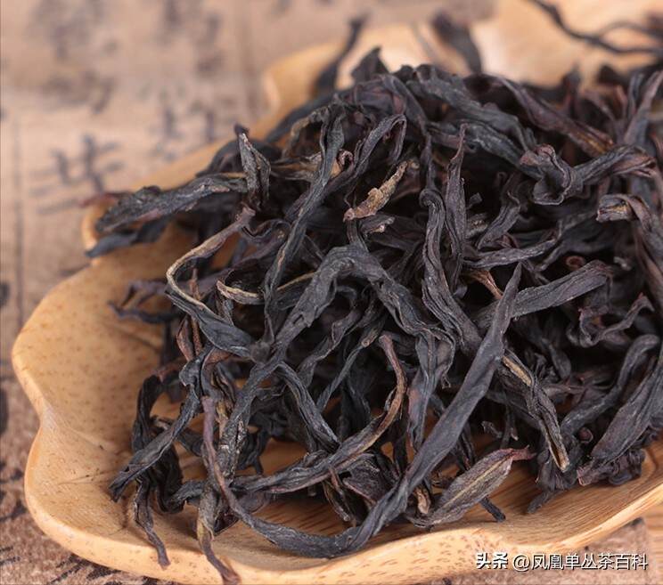 凤凰单枞属于什么类型的茶简介，凤凰单枞茶的功效与禁忌