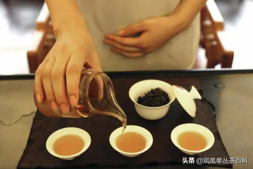 凤凰茶叶的功效与作用，全面了解凤凰单丛茶