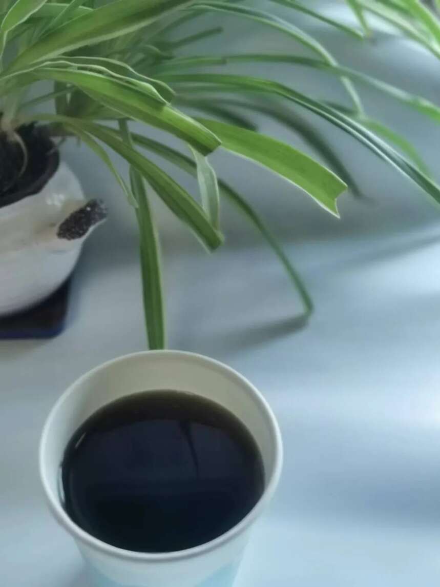 广东凉茶文化起源，凉茶传统文化