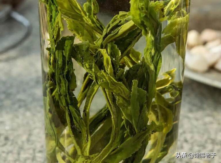 哪里的绿茶最好喝最出名，哪些产地绿茶最好正宗