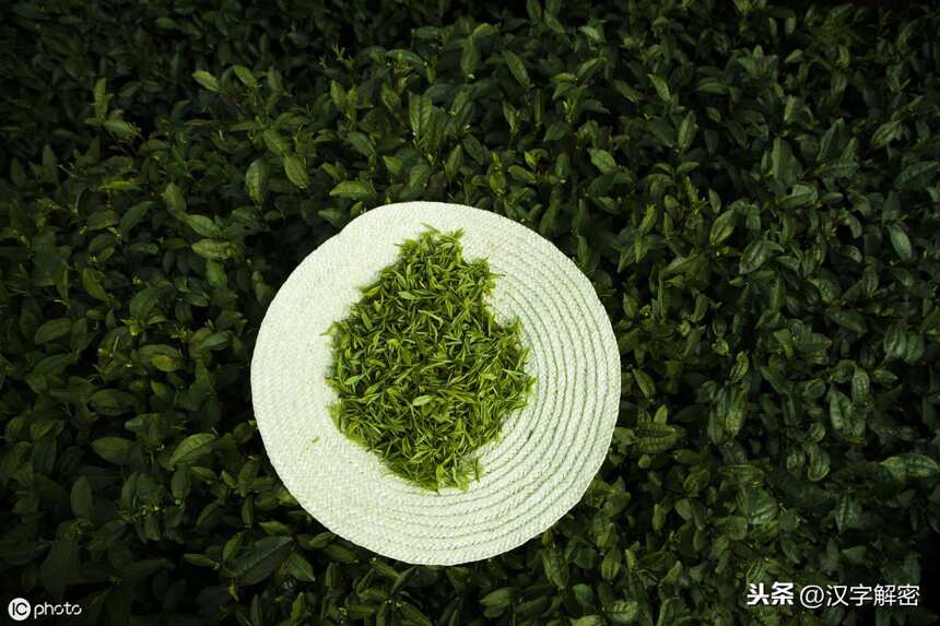 西湖龙井茶的功效特点，喝西湖龙井茶有什么好处作用