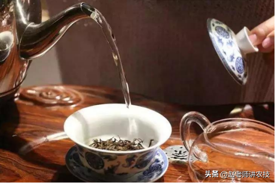 如何泡茶简单茶艺教程，泡茶的冲泡流程先后顺序