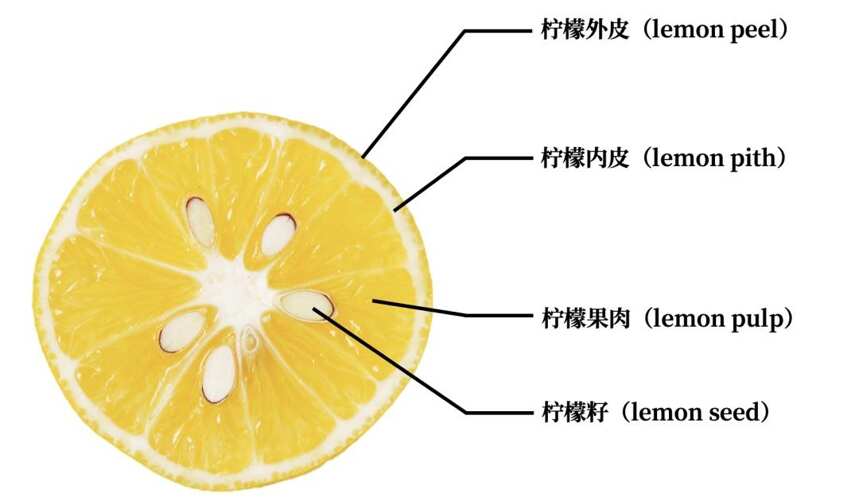 柠檬茶的功效与作用，柠檬茶的副作用禁忌