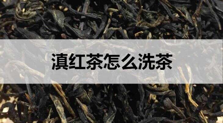 滇红茶怎么洗茶？