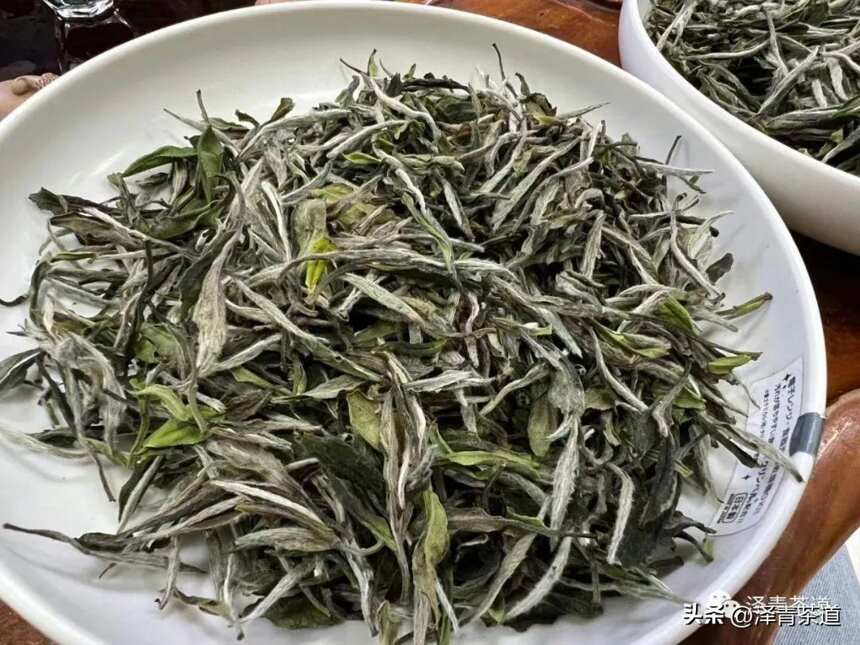 在疾病多发的冬季，为什么要多喝白茶养生？