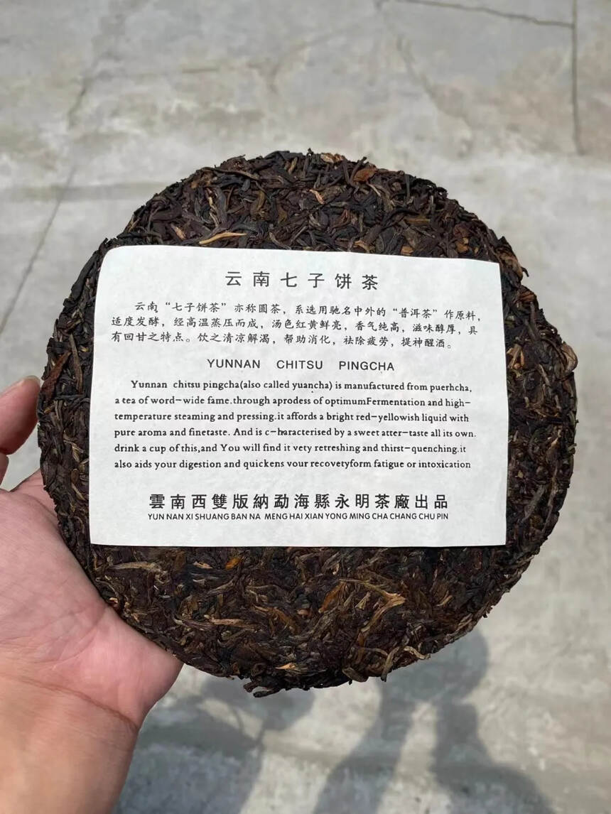 2004年 永明茶厂 孔雀乔木，性价比超高#广州头条
