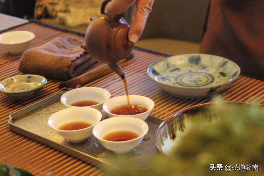 专栏 | 蔡荣章：专精喝茶与生活喝茶