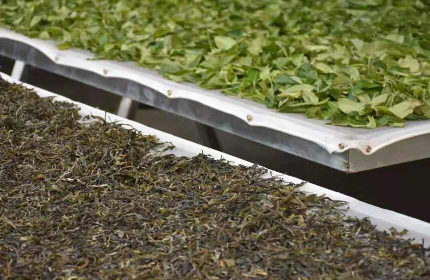 库存！普洱茶界纸老虎！100万吨普洱茶存量，挡不住茶产业的发展