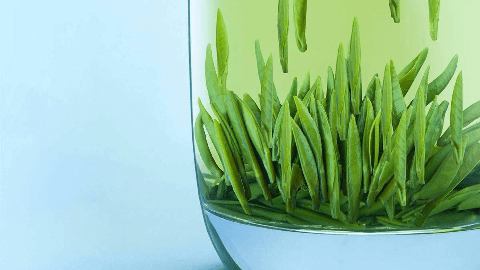 茶叶保质期嗯多长时间