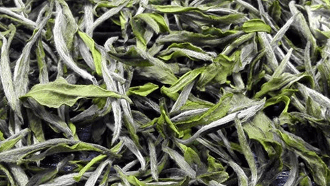 红茶和绿茶的区别的功效与作用 choohoo com