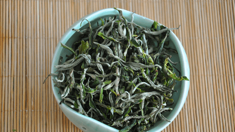 崂山绿茶的品种有哪些
