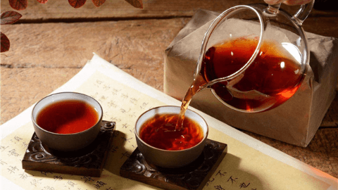 普洱茶属于什么茶树品种