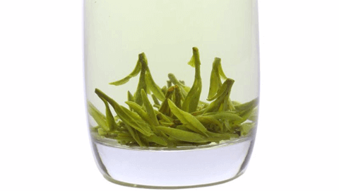 你知道什么是绿茶吗