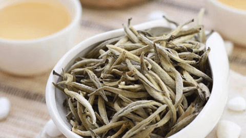 竹叶青茶是竹子上的嫩叶吗