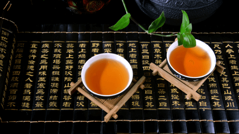 红茶和绿茶的成分区别功效