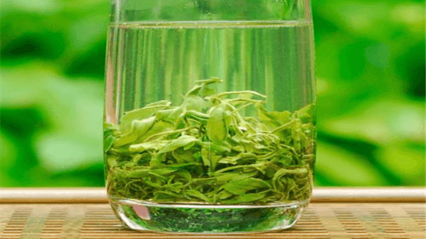 绿茶最好喝