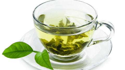 优质绿茶品种