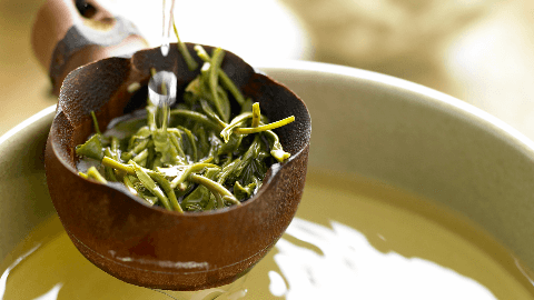 白茶是绿茶中最好的吗