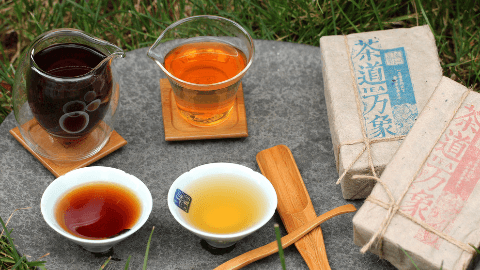 炭焙乌龙茶和古树红茶哪个好喝