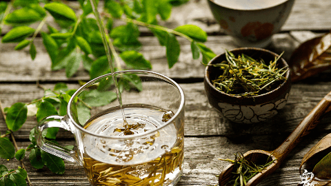 绿茶和菊花一起泡水喝的危害