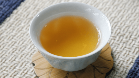 普洱茶是茶的什么种