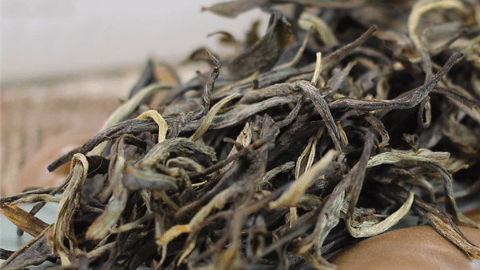高黎贡山古树茶多少钱一斤