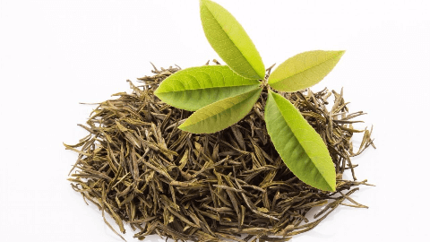 海南绿茶