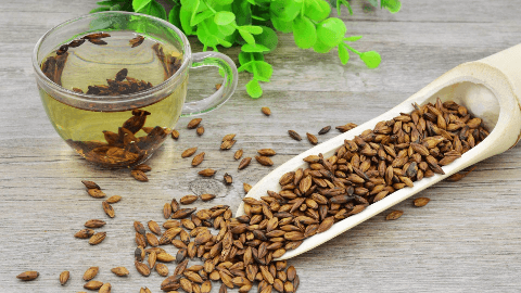 茶树籽油有哪些功效与作用